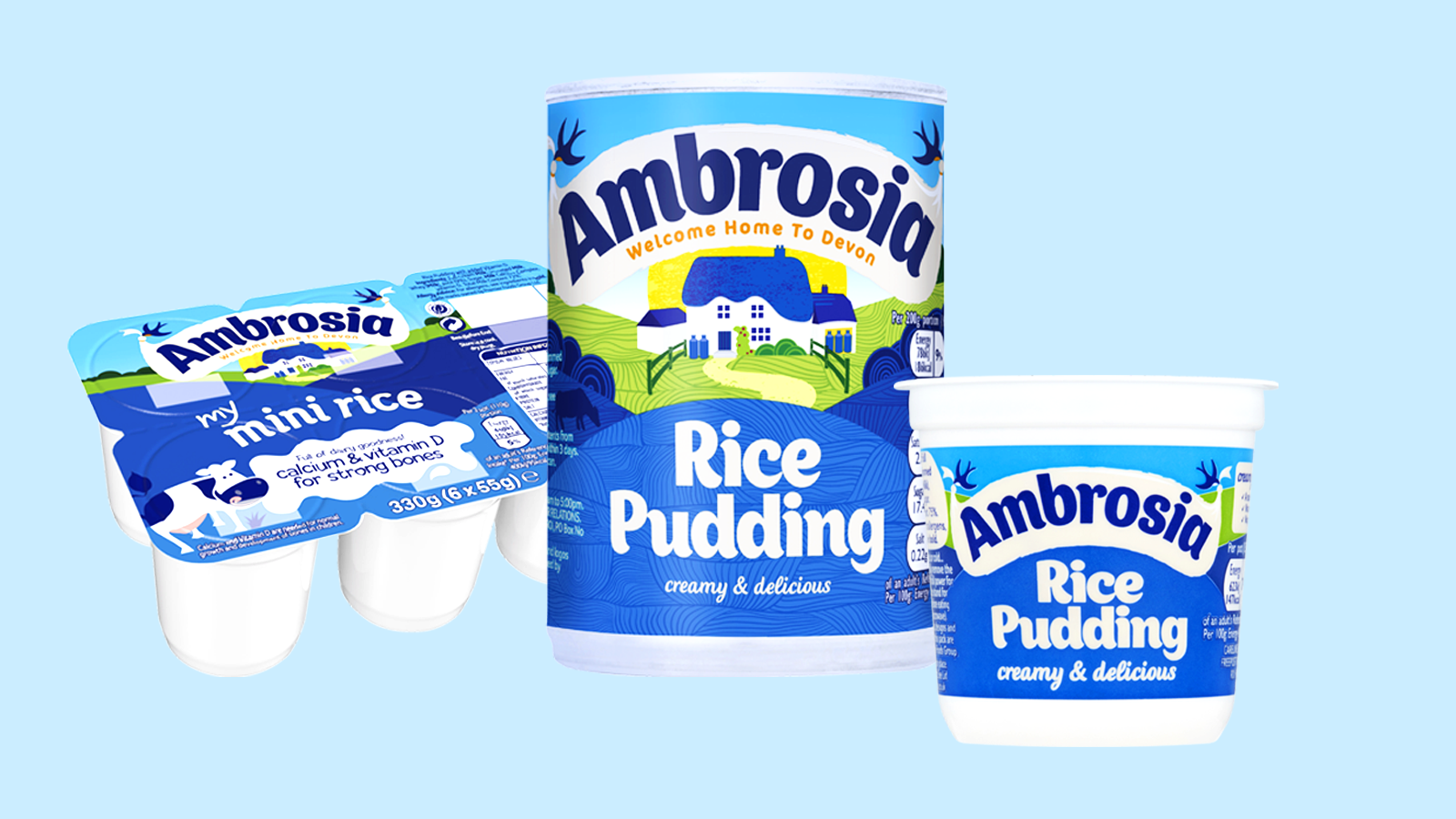 Ambrosia rice pudding